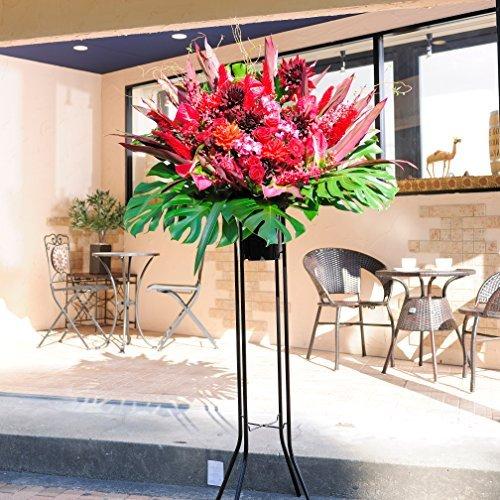 正式的 開院 ラグジュアリーモダン 赤系 配送地域限定商品 ビジネスフラワー 開店祝い 一段sコース スタンド花 ビジネスフラワー 生花 Oyostate Gov Ng