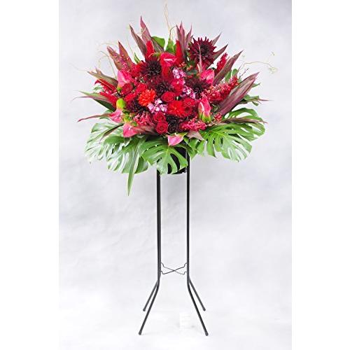 正式的 開院 ラグジュアリーモダン 赤系 配送地域限定商品 ビジネスフラワー 開店祝い 一段sコース スタンド花 ビジネスフラワー 生花 Oyostate Gov Ng