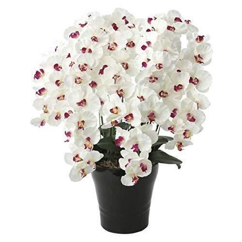 オンライン通販値段造花光の楽園プレミアム胡蝶蘭7本立w Ab アートフラワー 光触媒在庫あり特価 Effe Studio Pl