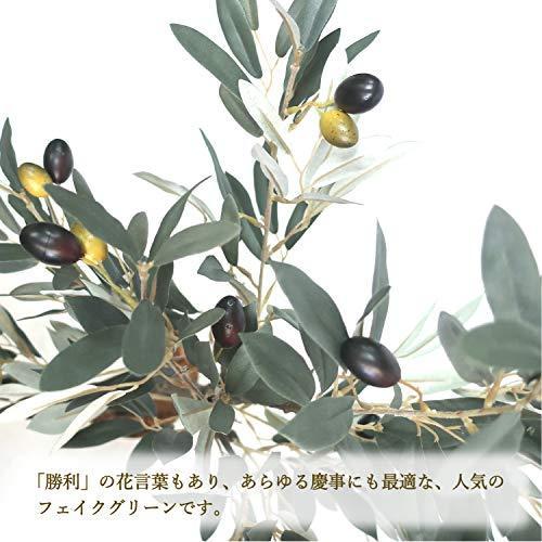 ビンディングの販売 ササガワ 人工観葉植物 オリーブ 光触媒 H100cm Mサイズ 32 8713 限定版特典 Esraapharma Com
