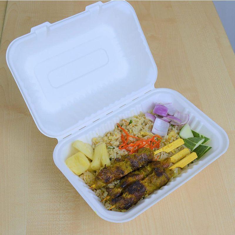 Sale 55 Off テイクアウト容器 ランチボックス バガスモールド 仕切り無し大 0個 おしゃれ エコ容器 使い捨て 弁当箱