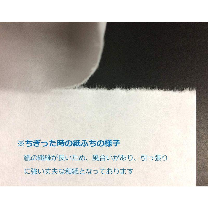 ペーパーエントランス 奉書紙 和紙 コピー用紙 伊予産 便箋 写経 プリンター用紙 謝辞 式辞 250枚 Itnleqwose 画材 アート用品 Www Bugadestino Com