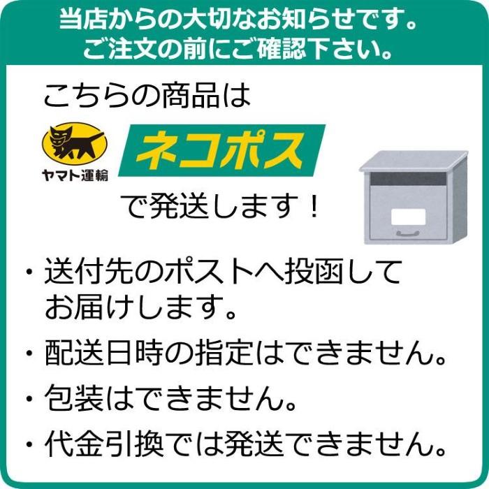天然石 ネックレス イン ウィッシュボトル 願い事 望み wish bottle 願いの瓶 鉱物 エネルギー 属性 効果 目的 目標 ヒーリング スピリチュアル |  | 28