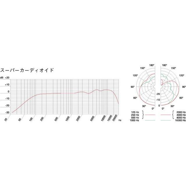 AKG D5 CS ダイナミックマイク 【配送区分A】 : マークス