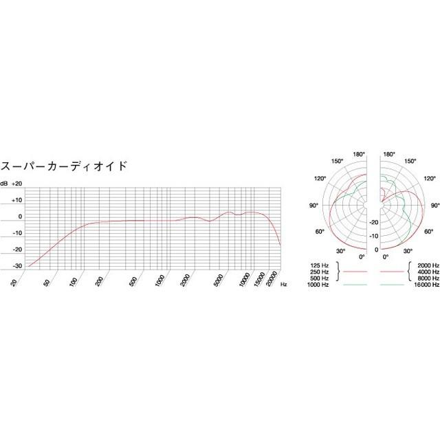 AKG AKG D5-Y3 3年保証付きモデル ダイナミックマイク : マークス