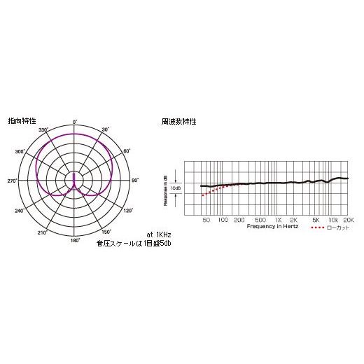 audio-technica AT4021【区分A】｜marks-music｜02