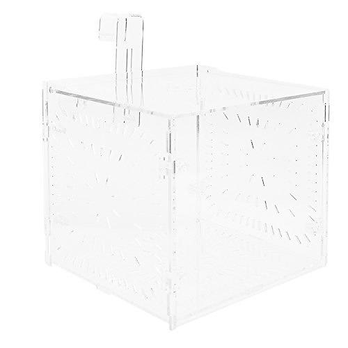 魚 繁殖隔離ボックス 水槽 孵化 産卵箱 魚の隔離 水族館アクセサリー 透明 アクリル 15x15x15cm Majesticxpress