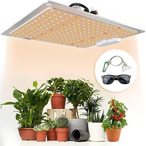 50 Off Led植物育成ライト 1000w 植物用ledライト 白色 調光可能 フルスペクトル 3000 Led 超薄型 観葉植物 室内栽培照明用 日 50 Off Www Muslimaidusa Org