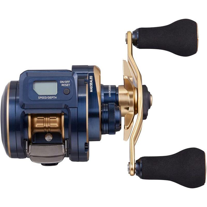 新入荷!!【日本未発売】 ダイワ(DAIWA) 21 ソルティガIC 100P-DH 【YWU8092851903】(28894円)