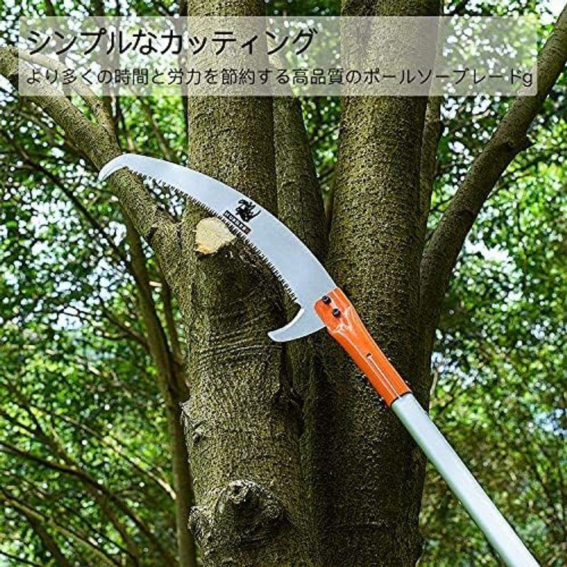 HUNKENR 高枝 のこぎり 伸縮式高枝鋸 高枝 5.6m (自由伸