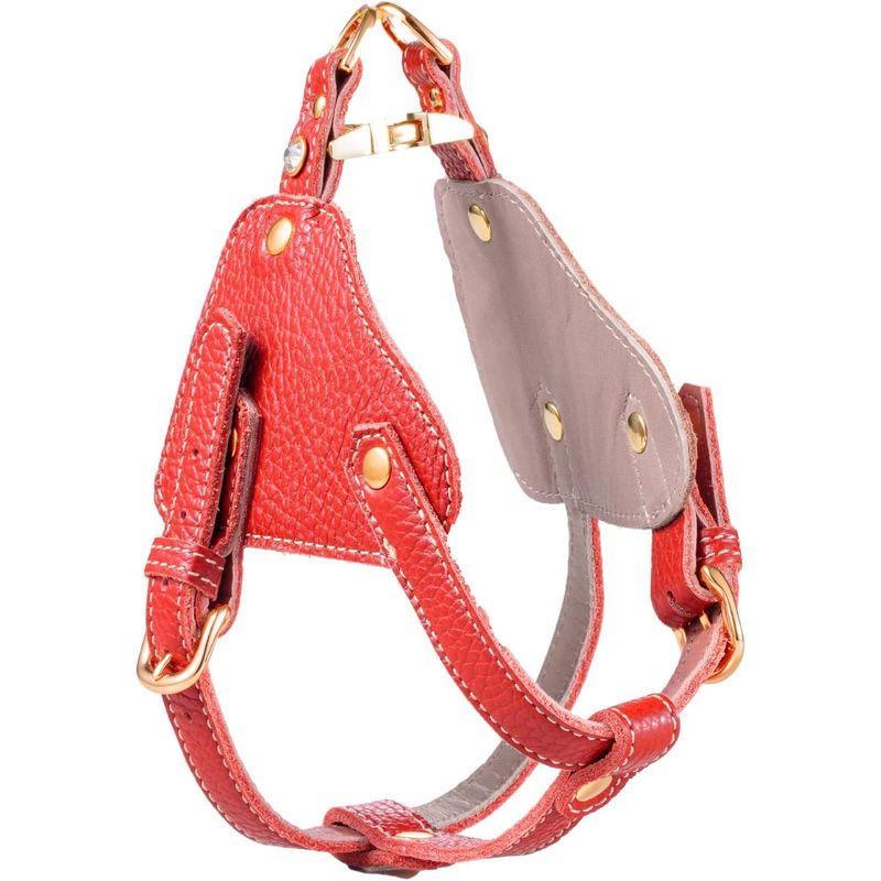 Now&Fountain ボディベルト Bタイプ ナチュラルスキン 本革 ハーネス トイプードル ミニチュアダックスフンド ミニチュアシュナ ミニチュアダックスフンド ボディベルト Bタイプ ナチュラルスキン 本革 ハーネス トイプードル ミニチュアシュナ