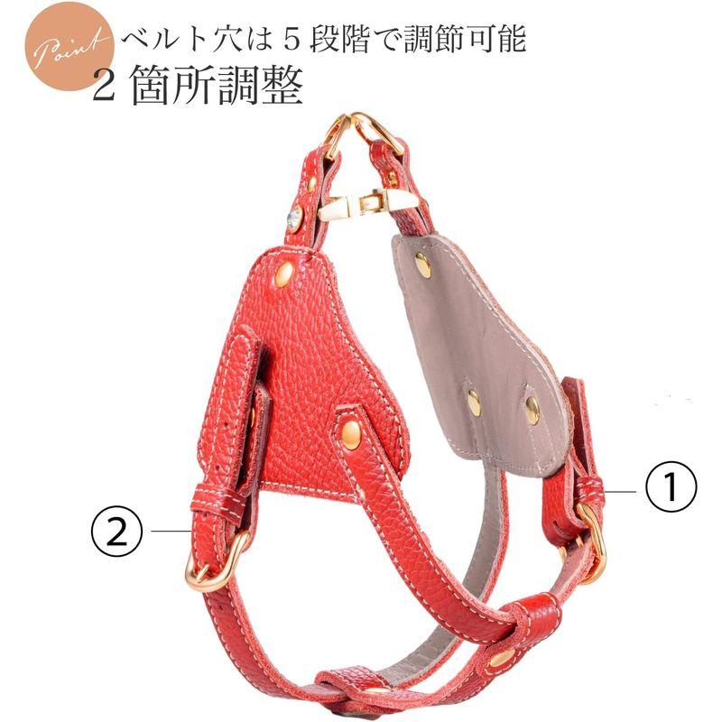 Now&Fountain ボディベルト Bタイプ ナチュラルスキン 本革 ハーネス トイプードル ミニチュアダックスフンド ミニチュアシュナ ミニチュアダックスフンド ボディベルト Bタイプ ナチュラルスキン 本革 ハーネス トイプードル ミニチュアシュナ