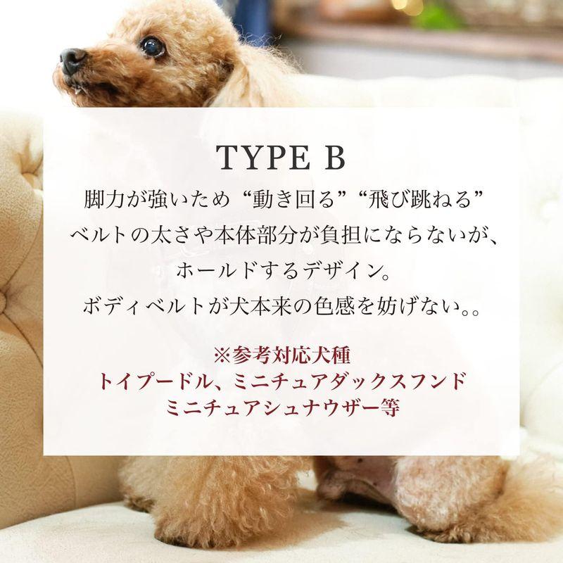 Now&Fountain ボディベルト Bタイプ ナチュラルスキン 本革 ハーネス トイプードル ミニチュアダックスフンド ミニチュアシュナ ミニチュアダックスフンド ボディベルト Bタイプ ナチュラルスキン 本革 ハーネス トイプードル ミニチュアシュナ