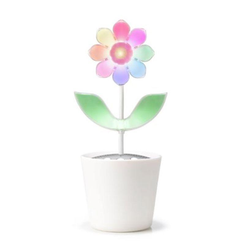 フラワーロック 2.0 (ノースポールtype)