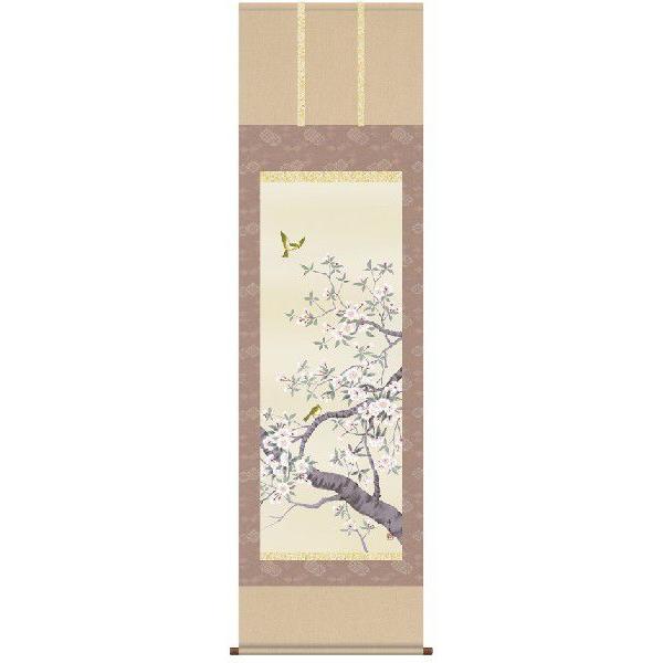 掛け軸 花鳥画 桜花（北山歩生） 掛軸