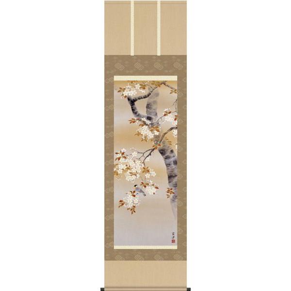 掛け軸 花鳥画 (春)四季花鳥・桜花に小鳥（近藤玄洋） 掛軸