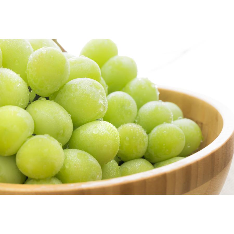 シャインマスカット　信州の恵み　ドライフルーツ 40g 【添加物不使用】 長野県　信州　ぶどう　レーズン　 国産 |  | 08