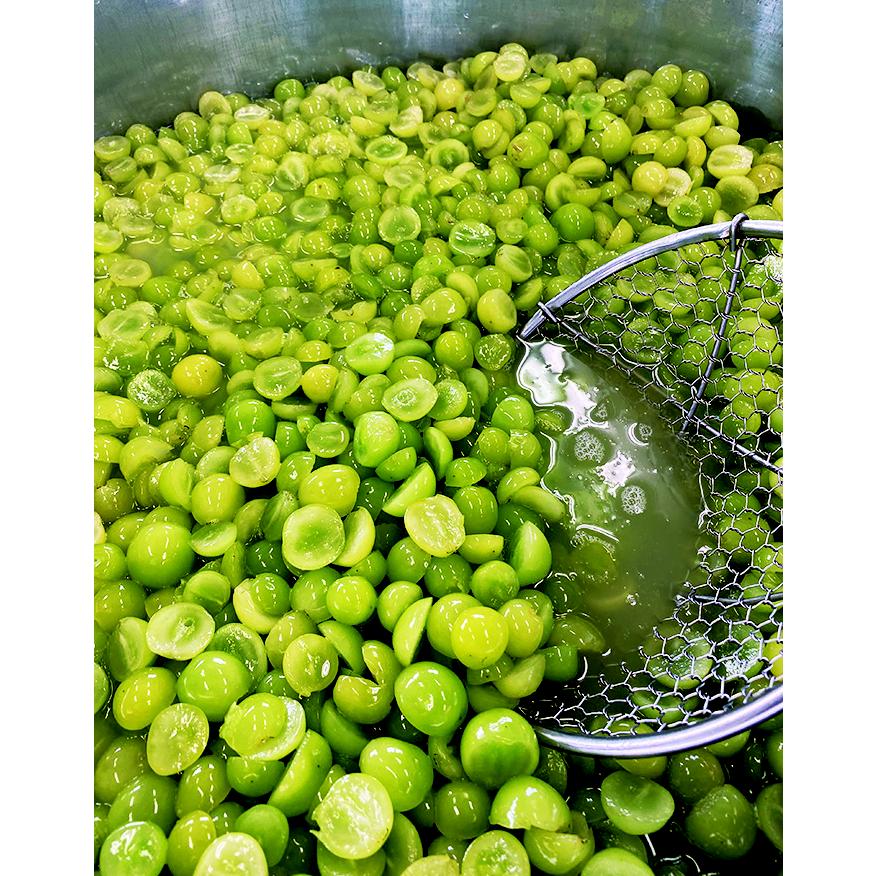 シャインマスカット　信州の恵み　ドライフルーツ 40g 【添加物不使用】 長野県　信州　ぶどう　レーズン　 国産 |  | 09