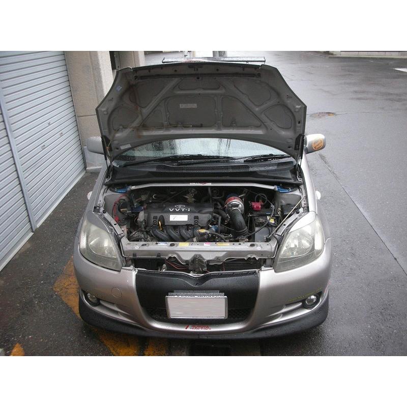 日産：リーフ[AZE0]用ボンネットダンパー シルバーカーボン : MAROYA