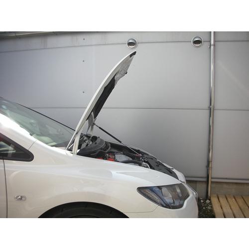 ホンダ：シビック TypeR［FD2］ボンネットダンパー　スタンダード | 