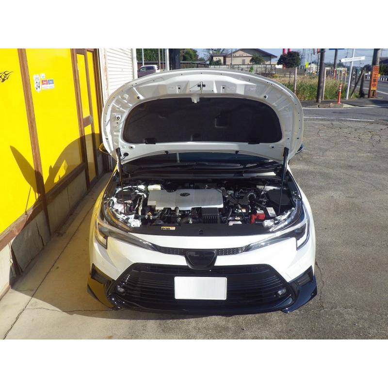 トヨタ：カローラツーリング［ZWE219W］用ボンネットダンパー　シルバーカーボン |  | 01