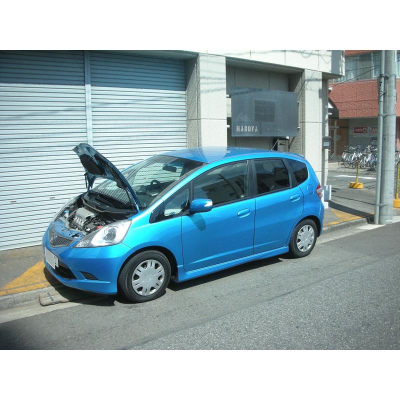 ホンダ：ボンネットダンパー　フィット[GE6]　シルバーカーボン | 