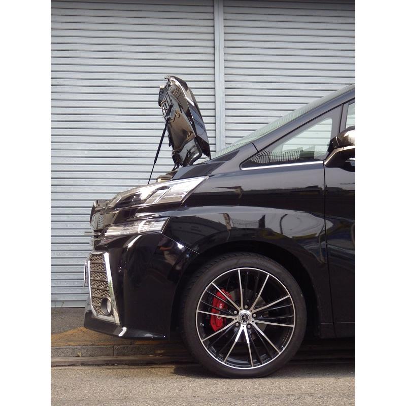 トヨタ：ヴェルファイア[AGH30W]用ボンネットダンパー　シルバーカーボンタイプ |  | 02