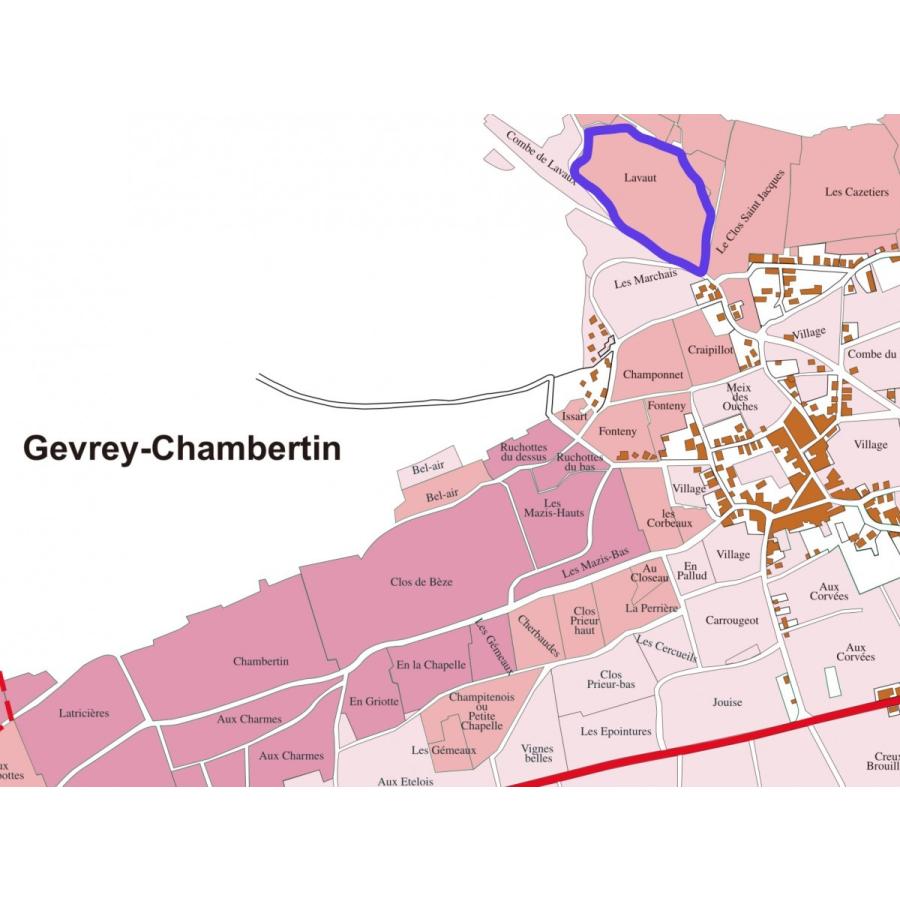 ドニ・モルテ ジュヴレ・シャンベルタン ラヴォー・サン・ジャック 2004 ドニ・モルテ ジュヴレ・シャンベルタン ラヴォー・サン