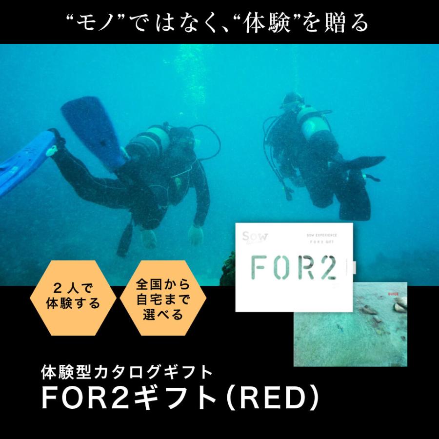 体験ギフト カタログギフト 母の日 結婚 内祝い お返し プレゼント ペア FOR2ギフト RED 2万円 出産 退職 誕生日 お祝い ソウエクスペリエンスの画像