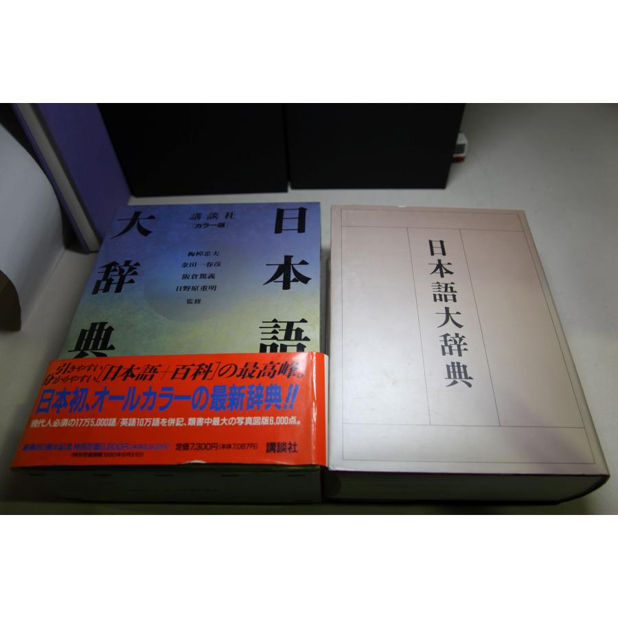 講談社 カラー版 日本語大辞典  1989年発行 初版 ★0005 J-1 | 