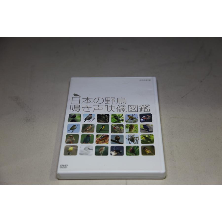 NHK 日本の野鳥 鳴き声映像図鑑 ★0009 J-3 | 
