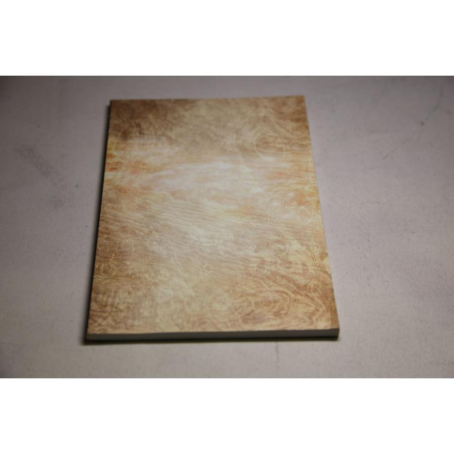 昭和の名僧　解説書　(株)日本音声保存 ★0018 J-1 |  | 01