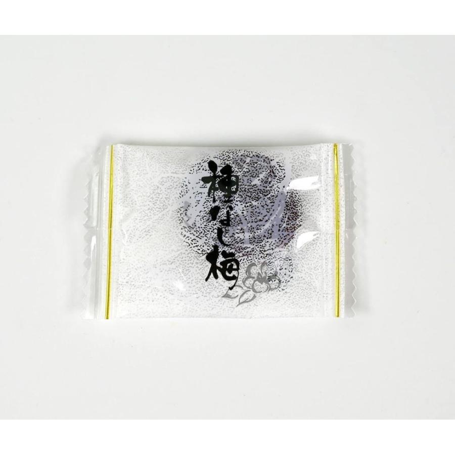マーケティング 干し梅 梅 お菓子 業務用 まろやか干し梅 種無し 梅干し うめぼし うめ ほしうめ 梅ねり カリカリ梅 駄菓子 おやつ 塩分補給 熱中 Wantannas Go Id