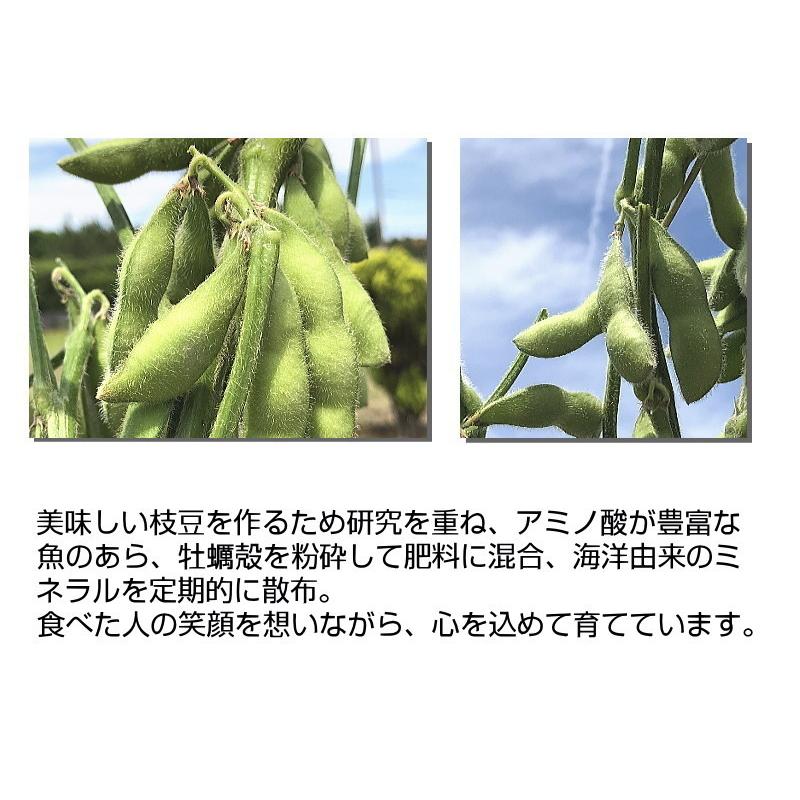 枝豆 茶豆 新潟産 500g 4 2kg入 伊藤農園 正規品