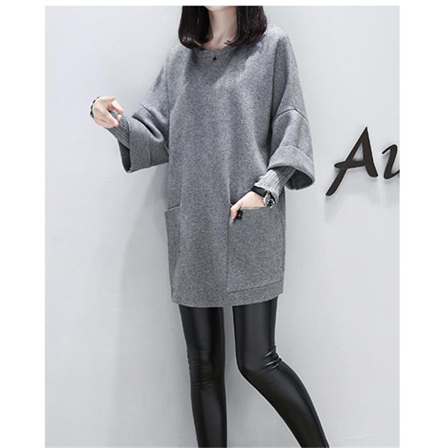 最適な材料 パーカー 春秋 送料無料 レディース 偽二枚 柔らか ゆったり シンプル 着やせ 体型カバー 無地 ポケット 通勤通学 個性的 オシャレ パーカー サイズ M Www Ellepiserramenti It