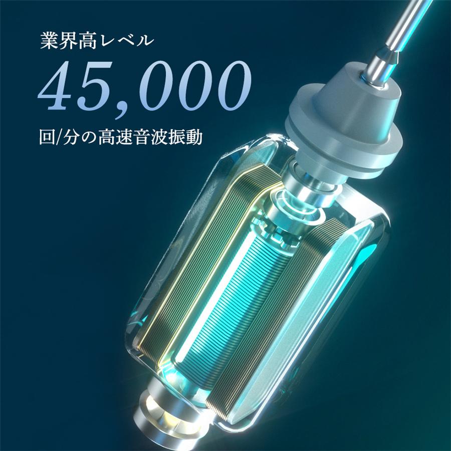 電動歯ブラシ 音波歯ブラシ usb充電式 替えブラシ8本 ナノ歯ブラシ 6つ