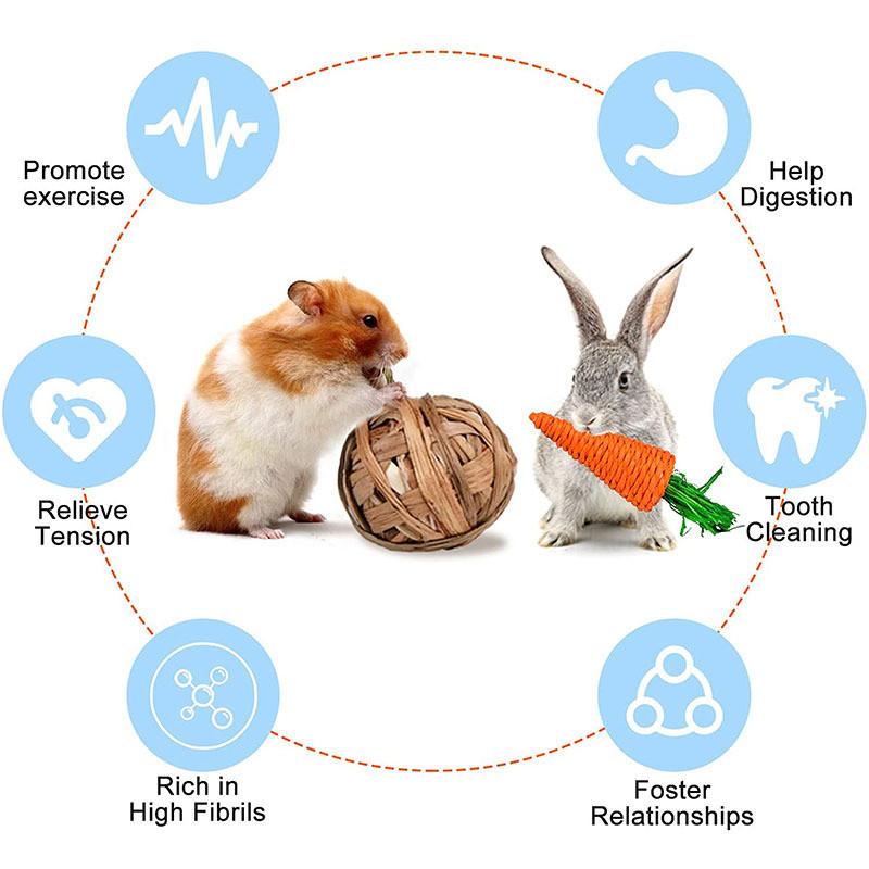 ペット用品 ハムスター用品 ウサギ用品 チンチラ用品 インコ用品 モルモット用品 小動物用 噛むおもちゃ 6点 歯磨き ストレス解消 運動不足解消 55sep21cswj11 Mars Color 通販 Yahoo ショッピング