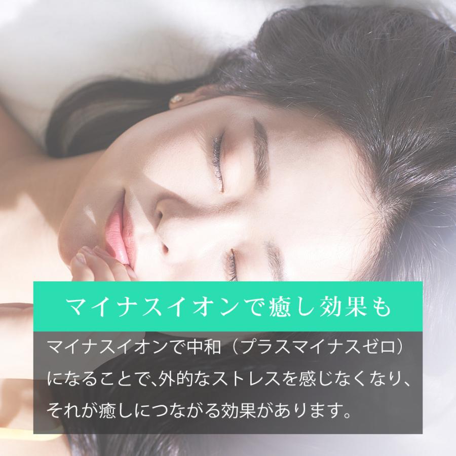 ヒートブラシ ミニブラシ ストレート ヘアアイロン 軽量247g 45秒加熱 耐熱専用ポーチ付き 5段階設定 カール 海外対応 200℃ Raffinement FFF-RFB2シリーズ |  | 13