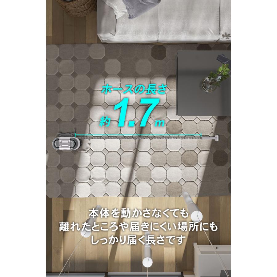 IRIE カーペットクリーナー 加熱式 洗剤 白 強力吸引 布洗浄機