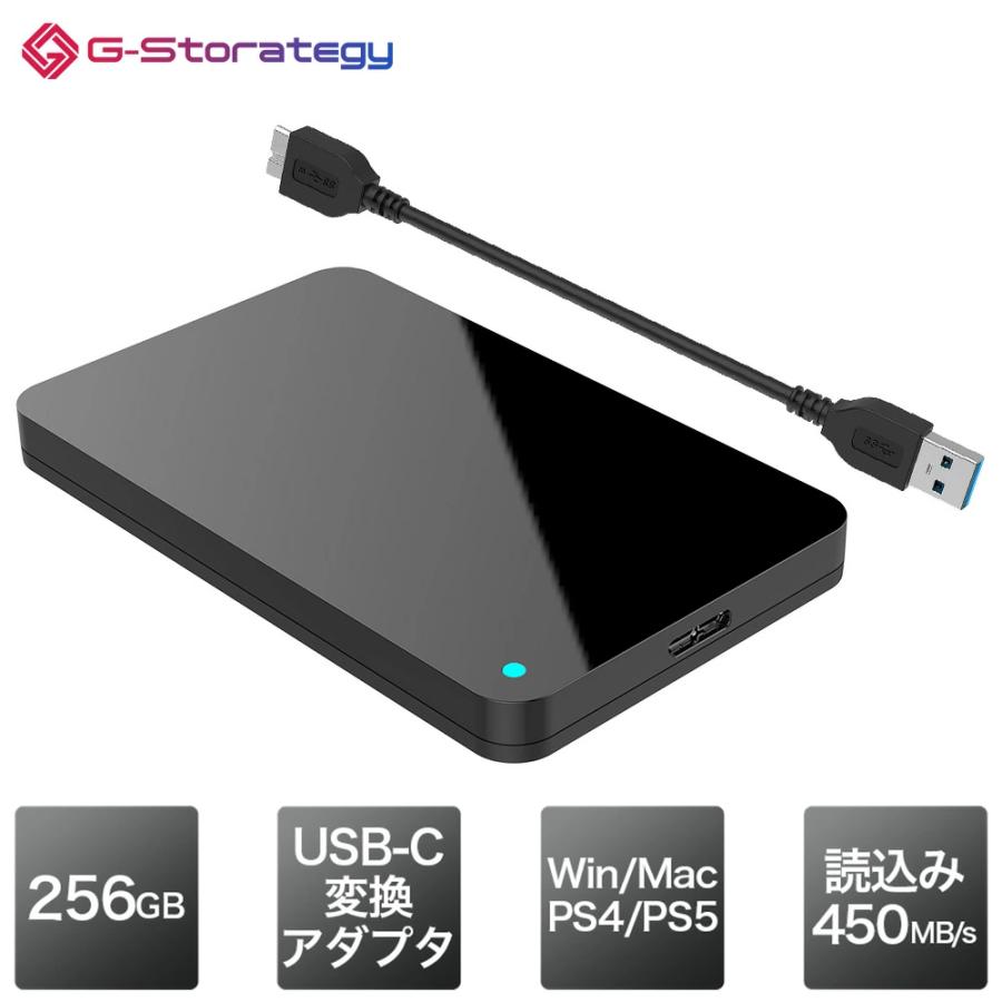 IRIE（FFF SMART LIFE CONNECTED） G-Storategy SSD 外付け 256GB 小型