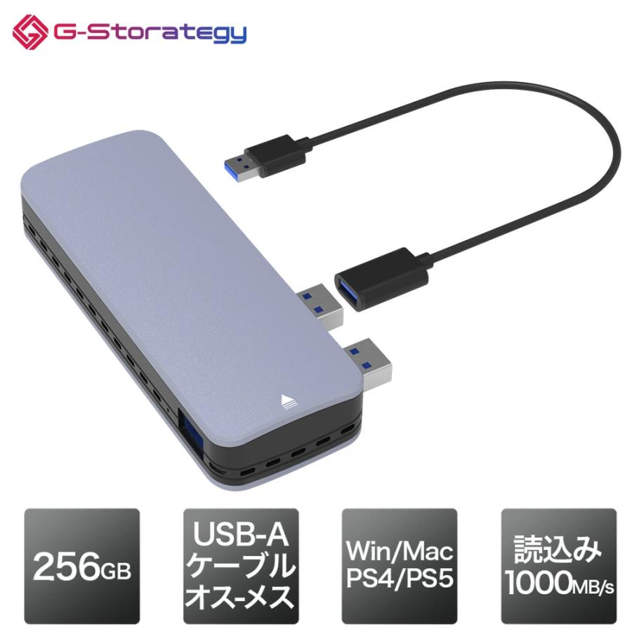 IRIE（FFF SMART LIFE CONNECTED） G-Storategy SSD 外付け 256GB 小型