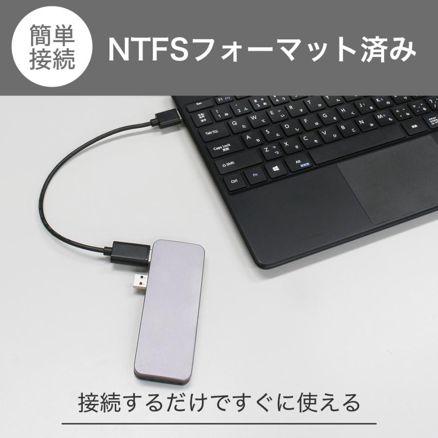 IRIE（FFF SMART LIFE CONNECTED） G-Storategy SSD 外付け 256GB 小型