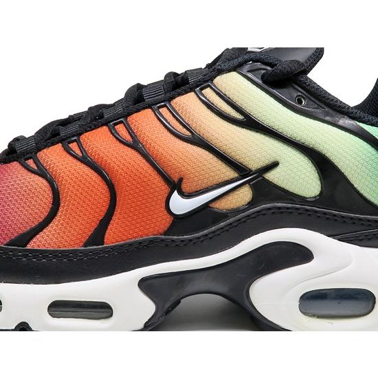 NIKE（ナイキ） NIKE WMNS AIR MAX PLUS RAINBOW レインボー