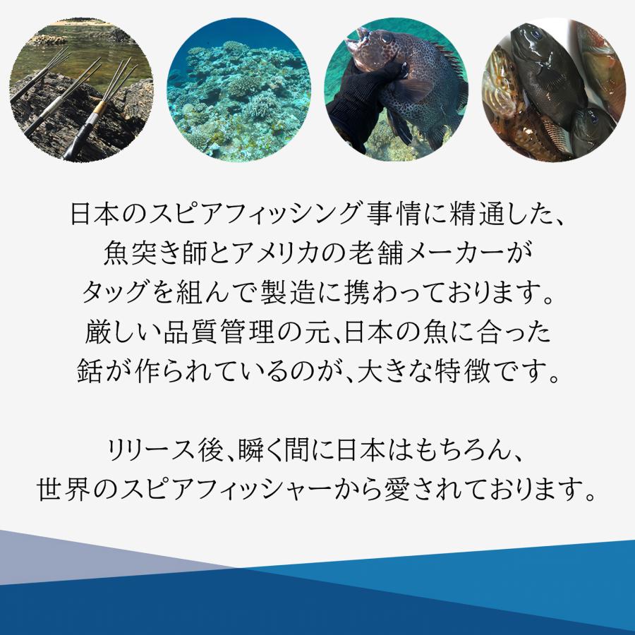 Ultimate Dive アルティメットダイブ 銛 グラスファイバー製 ワンピース スピアフィッシング 5点セット パラライザーの画像