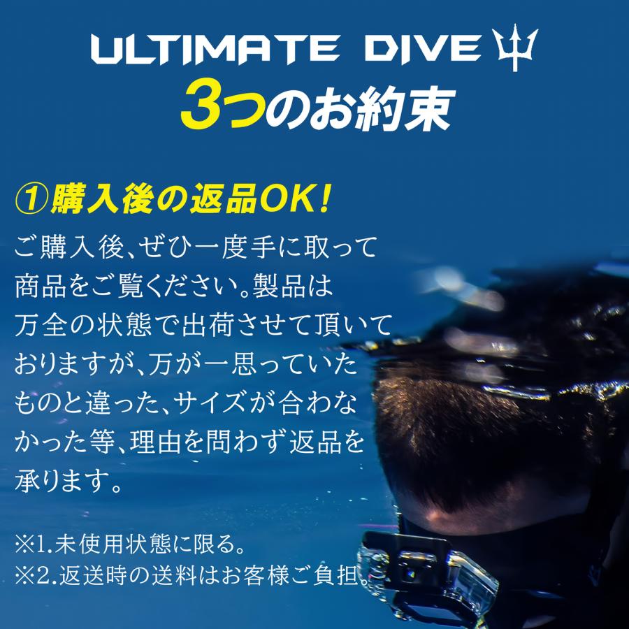 Ultimate Dive アルティメットダイブ 銛 グラスファイバー製 ワンピース スピアフィッシング 5点セット パラライザーの画像