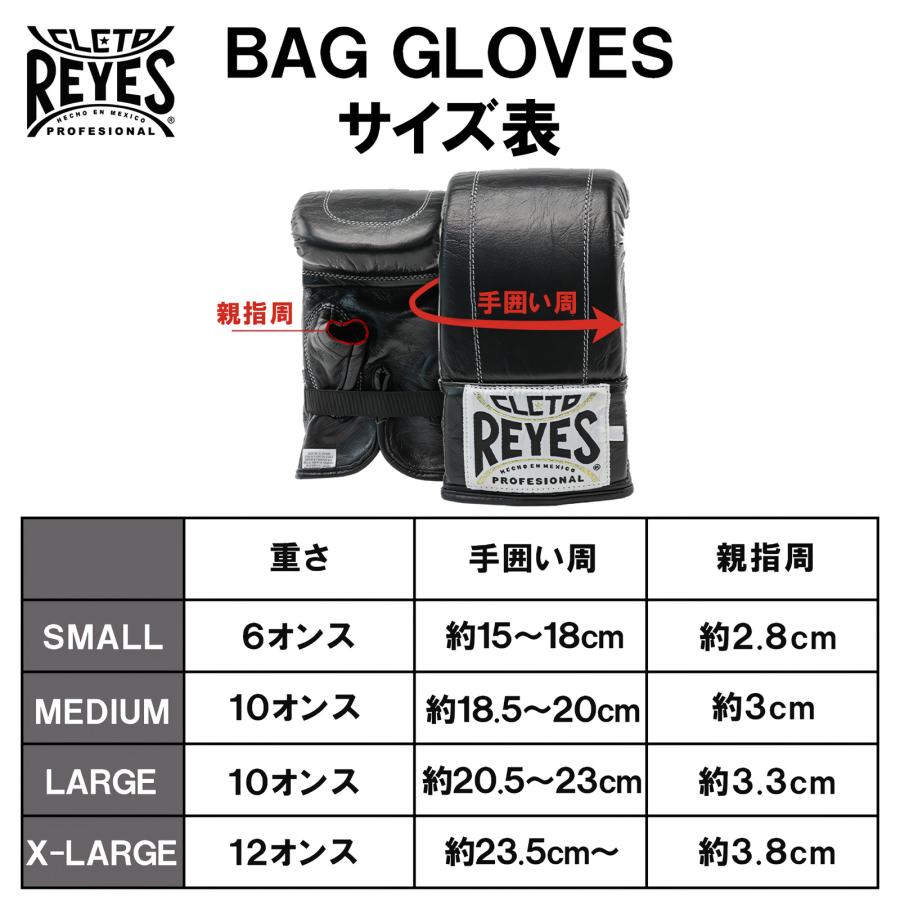 REYES 公式 レイジェス ボクシンググローブ 本革 ゴム式 バック打ち
