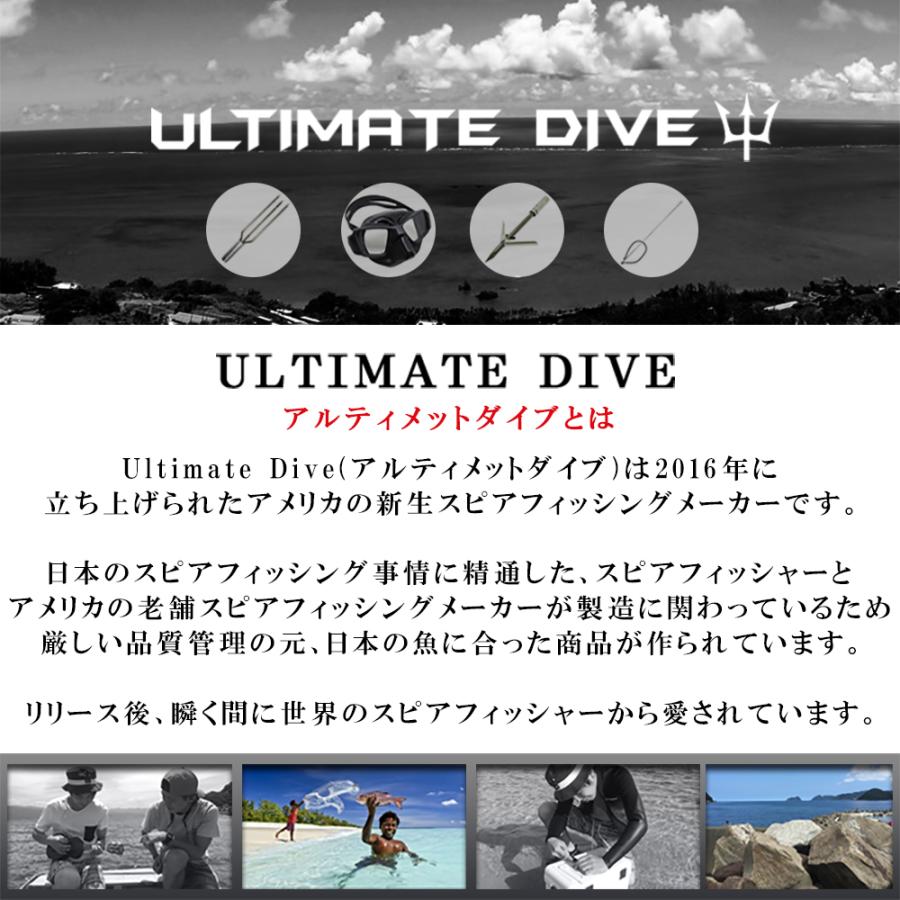 Ultimate Dive 手銛 セット カーボン パラライザー 2ピース 330cm 魚突き 銛 ヤス モリ 魚 突き スピアフィッシング 銛先 銛突き 魚突きモリ 素潜り もり 手銛 Ultimate 手銛 330cm 銛先