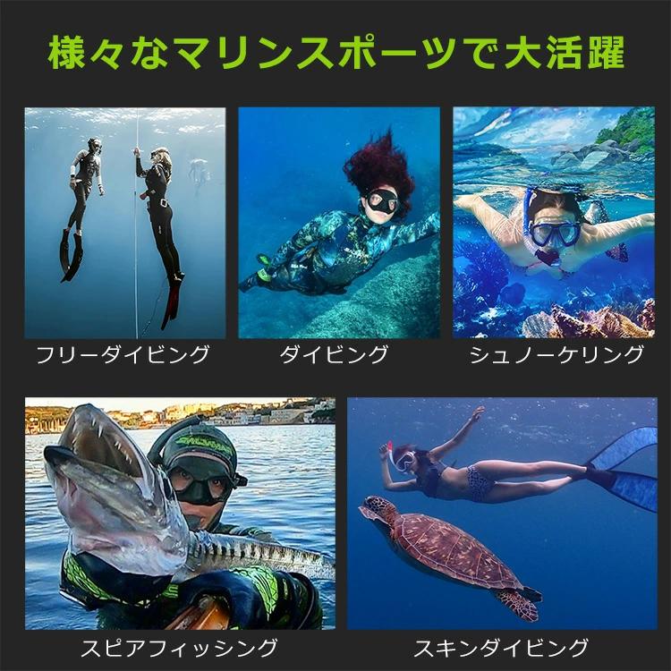 SALVIMAR サルビマー NOAH ダイビング マスク ゴーグル スピア