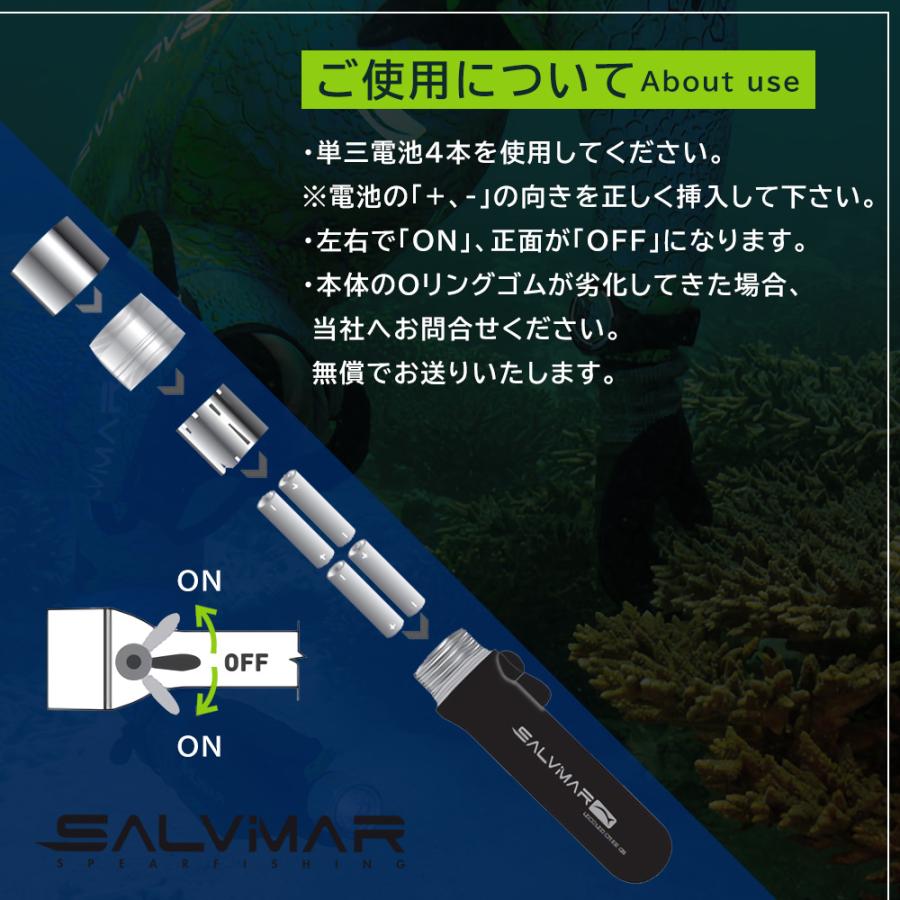 Salvimar サルビマー 水中ライト ダイビング ダイビングライト 水中