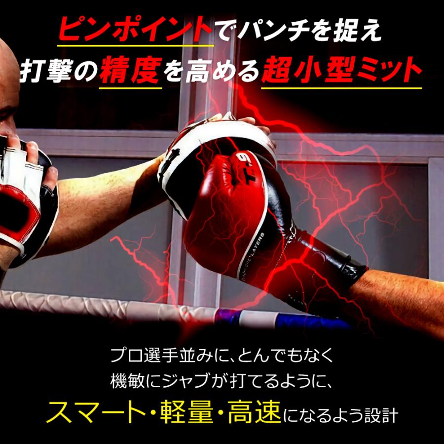 THREE ARMS パンチングミット セット 左右 ミット 空手 子供